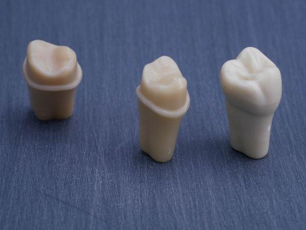 Modeltand præpareret AG-3 ZP 17 99-002*