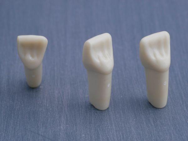 Modeltand præpareret AG-3 ZP 21 99-001*