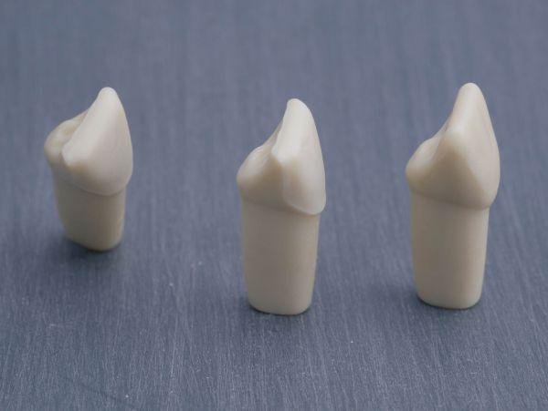 Modeltand præpareret AG-3 ZP 21 99-005*