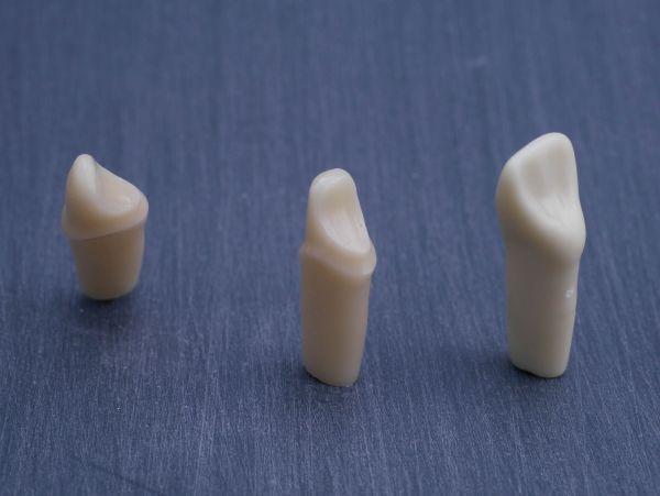 Modeltand præpareret AG-3 ZP 22 99-001*