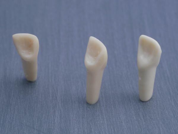 Modeltand præpareret AG-3 ZP 22 99-002*