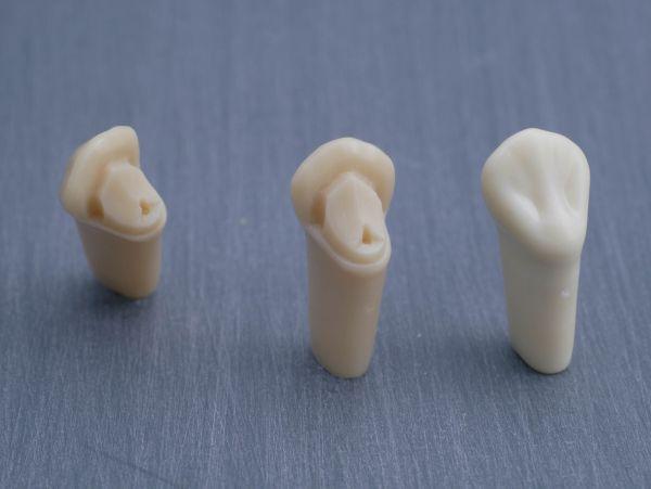 Modeltand præpareret AG-3 ZP 23 99-001*