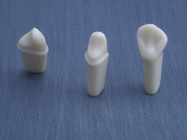 Modeltand præpareret AG-3 ZP 23 99-002*