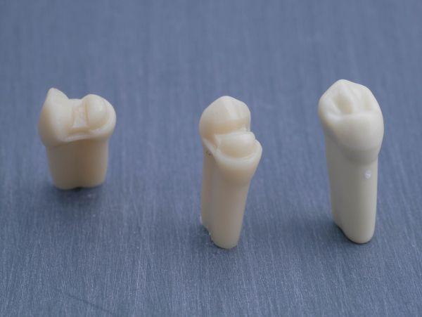 Modeltand præpareret AG-3 ZP 24 99-001*