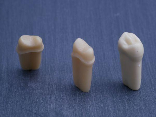 Modeltand præpareret AG-3 ZP 24 99-002*