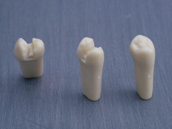 Modeltand præpareret AG-3 ZP 25 99-001*