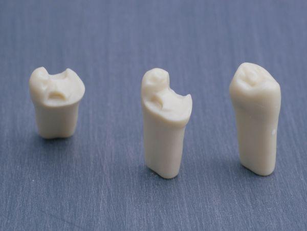 Modeltand præpareret AG-3 ZP 25 99-003*