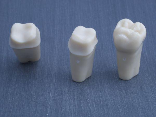 Modeltand præpareret AG-3 ZP 26 99-002*