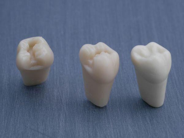 Modeltand præpareret AG-3 ZP 27 99-001*