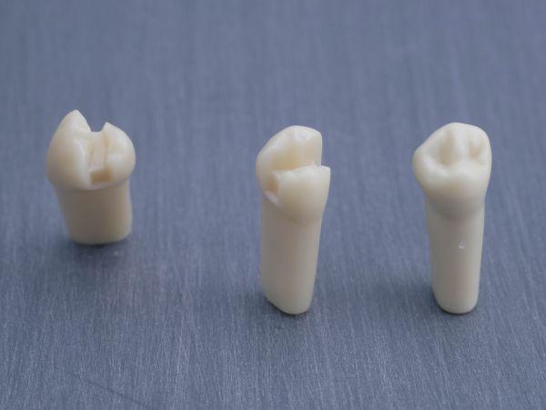 Modeltand præpareret AG-3 ZP 34 99-001*