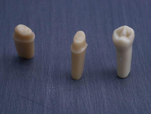 Modeltand præpareret AG-3 ZP 34 99-002*