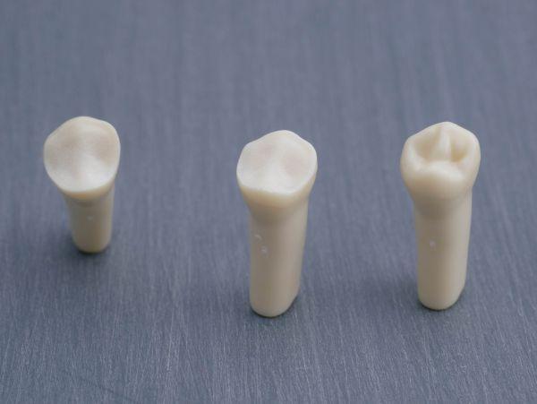 Modeltand præpareret AG-3 ZP 34 99-003*