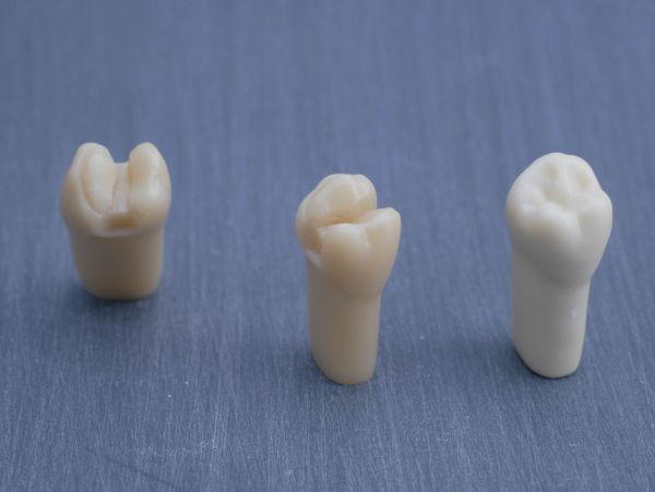 Modeltand præpareret AG-3 ZP 35 99-001*