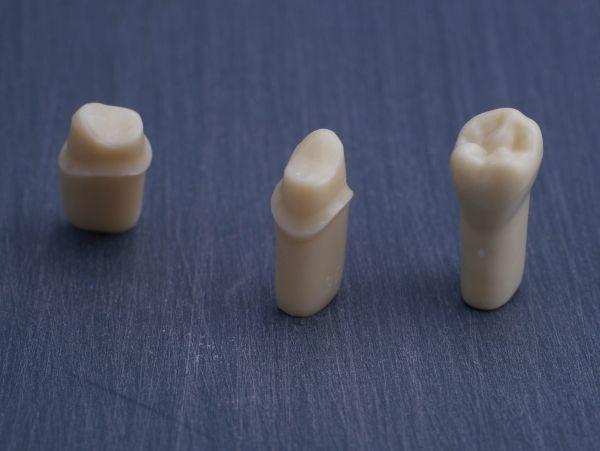 Modeltand præpareret AG-3 ZP 35 99-002*