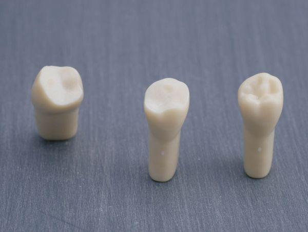 Modeltand præpareret AG-3 ZP 35 99-003*