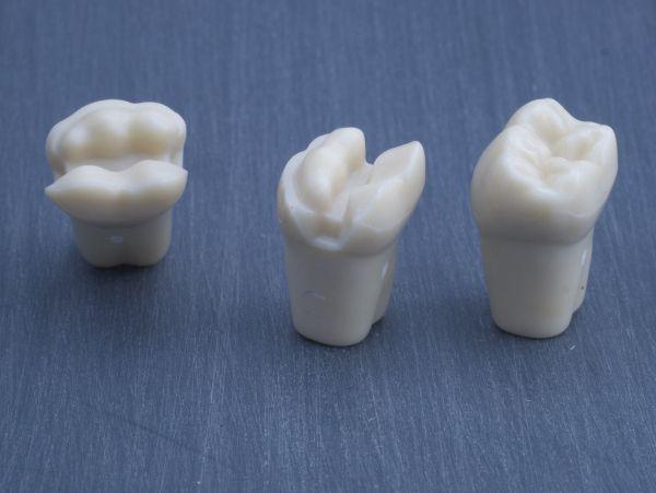 Modeltand præpareret AG-3 ZP 36 99-002*