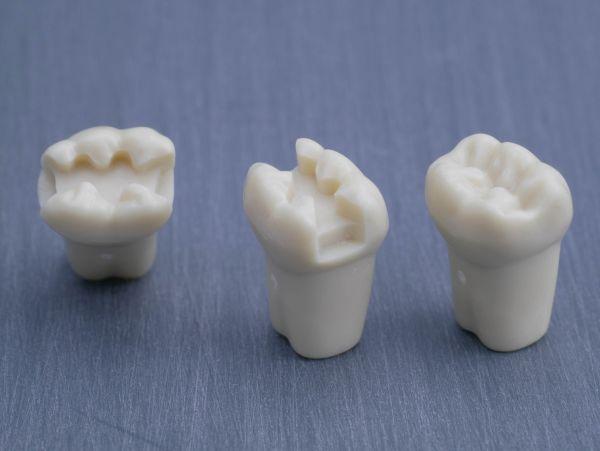 Modeltand præpareret AG-3 ZP 36 99-005*