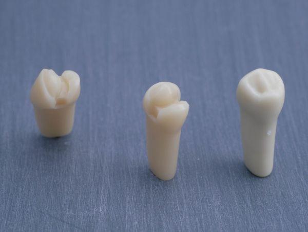 Modeltand præpareret AG-3 ZP 44 99-001*