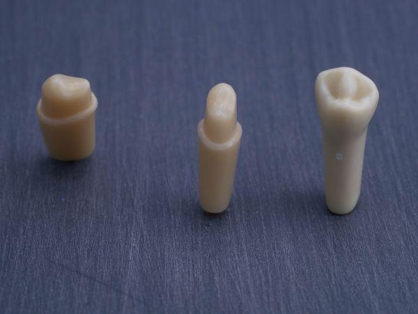 Modeltand præpareret AG-3 ZP 44 99-002*