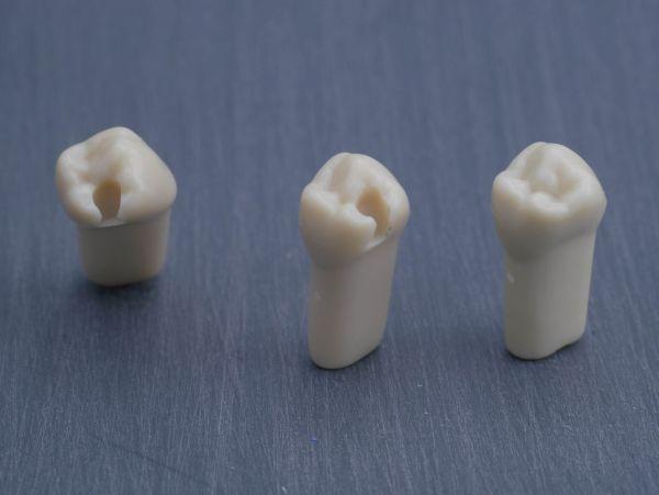 Modeltand præpareret AG-3 ZP 45 99-001*