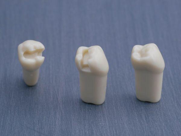 Modeltand præpareret AG-3 ZP 45 99-002*