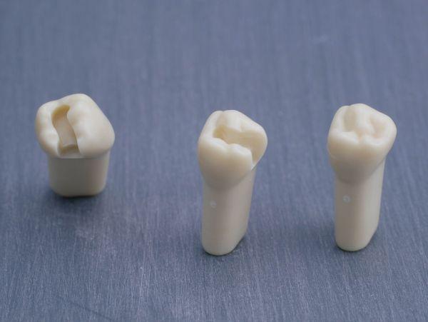 Modeltand præpareret AG-3 ZP 45 99-003*