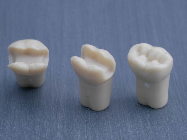 Modeltand præpareret AG-3 ZP 46 99-001*