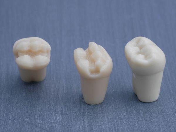 Modeltand præpareret AG-3 ZP 46 99-002*