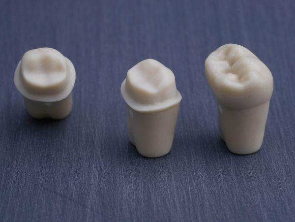 Modeltand præpareret AG-3 ZP 46 99-003*