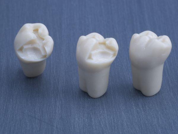 Modeltand præpareret AG-3 ZP 46 99-005*