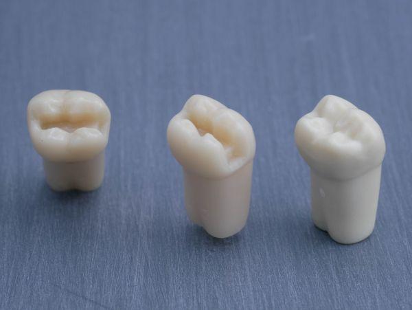 Modeltand præpareret AG-3 ZP 47 99-002*