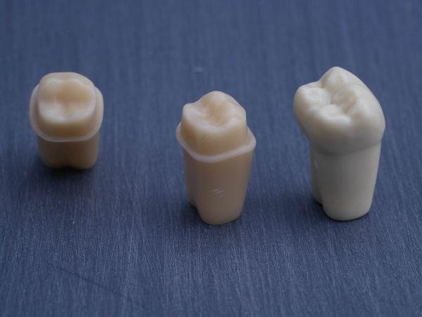 Modeltand præpareret AG-3 ZP 47 99-003*