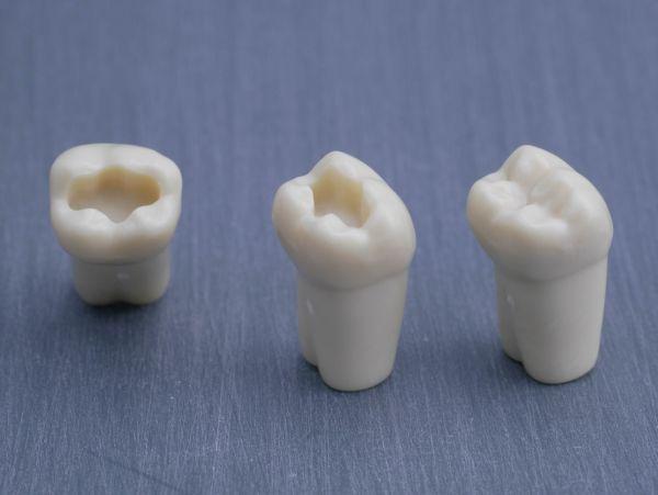 Modeltand præpareret AG-3 ZP 47 99-004*