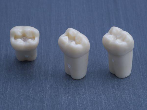 Modeltand præpareret AG-3 ZP 47 99-005*