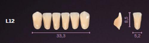 Premium fortand 6 stk farve A3 L12*