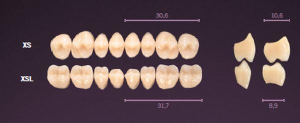 Premium kindtand 8 stk farve A3.5 XSL*