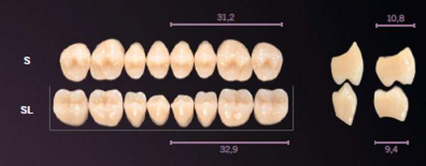 Premium kindtand 8 stk farve B3 SL*