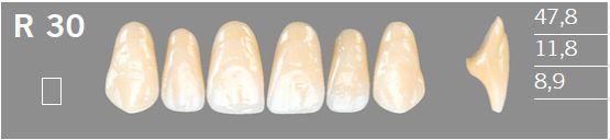 Artic fortand 6 stk farve A1 R30