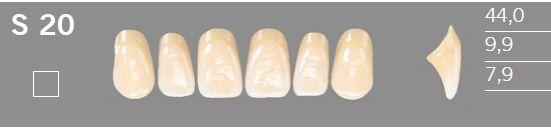 Artic fortand 6 stk farve A2 S20