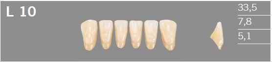 Artic fortand 6 stk farve A3 L10