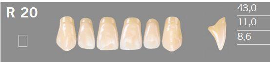 Artic fortand 6 stk farve B1 R20*