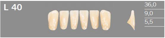 Artic fortand 6 stk farve B2 L40