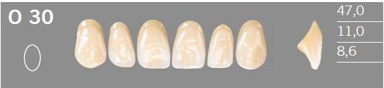 Artic fortand 6 stk farve B3 O30