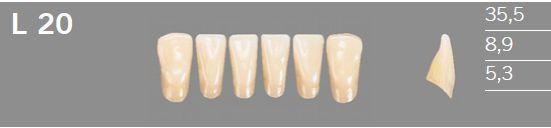 Artic fortand 6 stk farve B3 L20