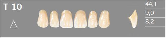 Artic fortand 6 stk farve C2 T10*