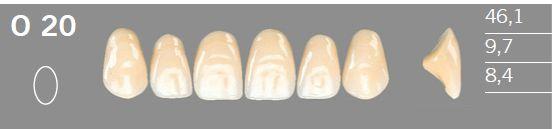 Artic fortand 6 stk farve D2 O20*