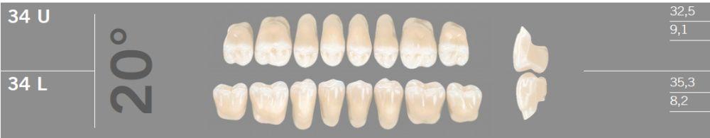 Artic kindtand 8 stk farve B2 20°-34L