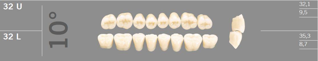 Artic kindtand 8 stk farve B4 10°-32U