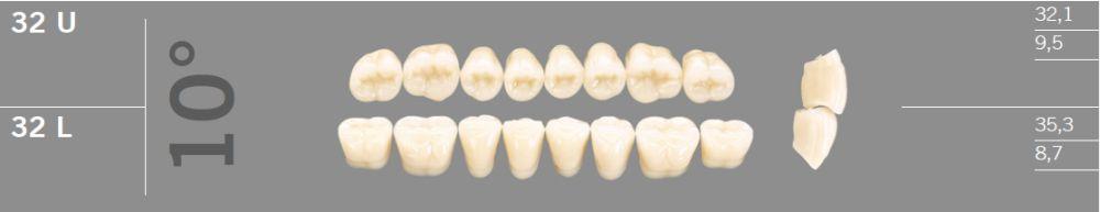 Artic kindtand 8 stk farve C4 10°-32L