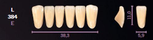 Mondial fortand 6 stk farve A1 L 384*